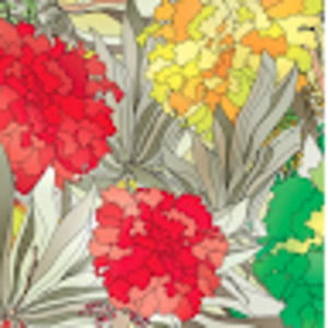 Meet your Posher, Maura